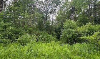 Townline Road, Angelica, NY 14709
