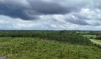 1025 Old Dairy Rd, Ailey, GA 30410