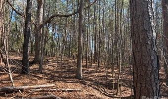 12 68 Acre 99 Rd, Blair, SC 29015