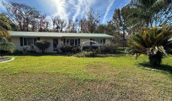 1881 RIVEREDGE Dr, Astor, FL 32102