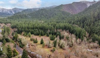 Upper Cow Creek Road, Azalea, OR 97410