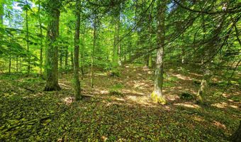 1905 Camp Munn Rd, Bradford, VT 05033