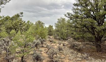 Forest Road 556, Carson, NM 87517
