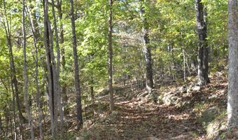 33202 Missouri State Highway E 14, Ava, MO 65608