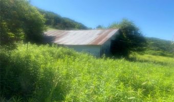 5249 State Route 21, Alfred, NY 14803