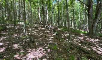 2613 Murphy Hill Rd, Andes, NY 13731