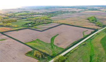Vine Avenue, Ainsworth, IA 52201