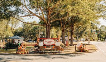 13 Piney Grove Ct, Auburn, GA 30011