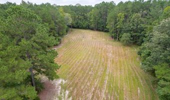 1582 Santee Rd, Andrews, SC 29510