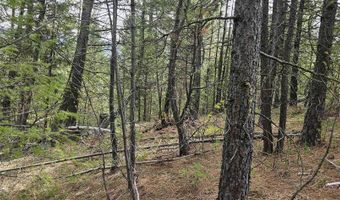59 Price Loop, Cascade, ID 83611