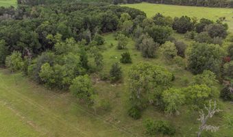 TBD 10th St, Bell, FL 32619