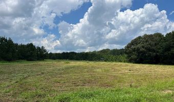 TBD County Road 40, Abbeville, AL 36310