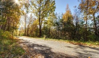 L9 & L10 Feodosia Drive, Anchorage, AK 99516