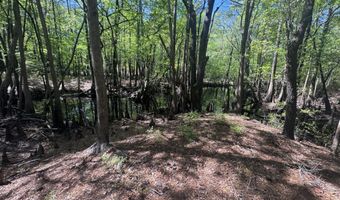 5 6 7 53 Off Highway Lot 5 6 & 7, Atkinson, NC 28421