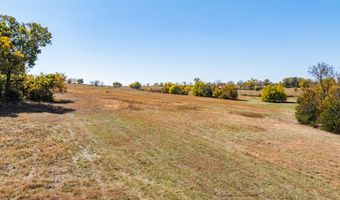 8157 N State Highway V, Ash Grove, MO 65604