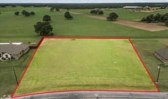 131 Brock Ln, Millsap, TX 76066