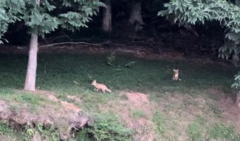 375 Middle Creek Rd, Afton, TN 37616