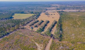 185 Peach Cider Rd, Batesburg Leesville, SC 29006