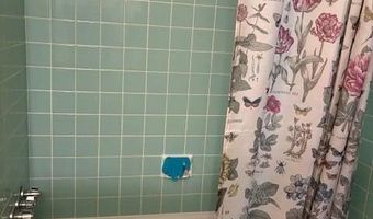 605 Ivy St, Carson City, NV 89703