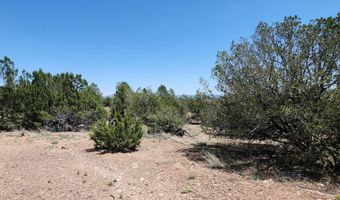 Lot 13 Ranch And Cattle, Ash Fork, AZ 86320