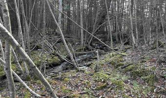 Lot 109 Steeple View Drive, Bethlehem, NH 03574