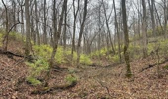 3 Salem Ridge Rd, Aurora, IN 47001