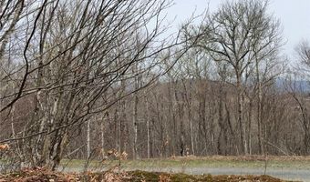 Chappell Farms N lot 6, Banner Elk, NC 28604