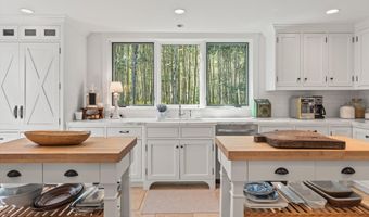 9555 Castle Creek Rd, Aspen, CO 81611