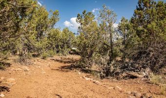 475 Run Around, Arboles, CO 81121