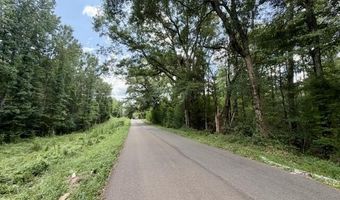 SE Lee Drive, Bogue Chitto, MS 39629