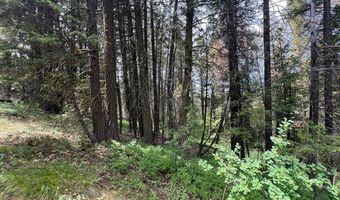 Tbd Hilltop Road 43 & 44, Cascade, ID 83611