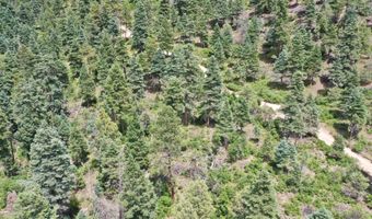 End of El Salto Road, Arroyo Seco, NM 87514
