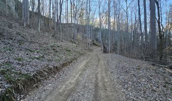 001 Soul Canyon Hideaways, Zoe, KY 41397