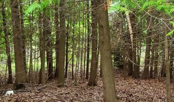 V/L 20AC Monaghan Point Road, Alpena, MI 49707