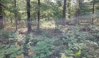 Lot 186 Winterset Drive, Alger, MI 48610