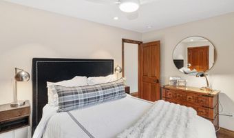 725 E Main St 309, Aspen, CO 81611