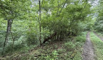 5 Lots Fortunato Dr, Baneberry, TN 37890