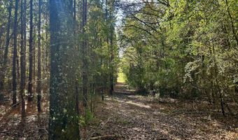 Watts Ln NW, Brookhaven, MS 39601