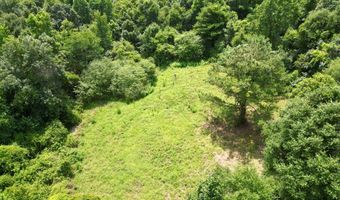 County Road 127, Banks, AL 36005