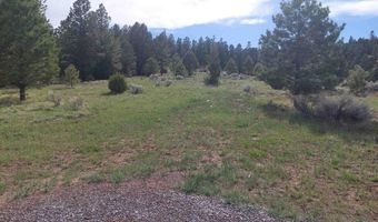 01195 Rito Hondo Rd, Antonito, CO 81120