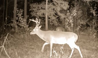 Franklin Dr, Batesville, MS 38606