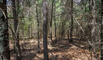 S Badger Lane lot 39, Arkdale, WI 54613