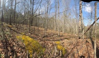 Parsons Road, Ashland, VA 23015
