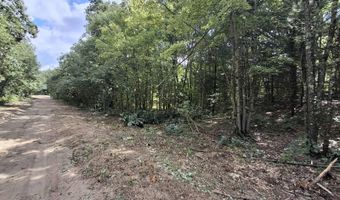 4370 Macdougall Dr, Allegan, MI 49010