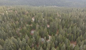 845 Honey Ct, Arnold, CA 95223