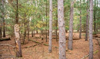 Lot 87 20th Avenue, Arkdale, WI 54613