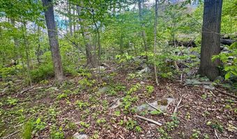 20102 ROCK OAK Rd SW, Barton, MD 21521
