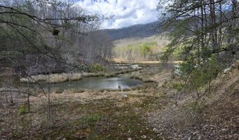 Steve Brown Rd, Bean Station, TN 37708