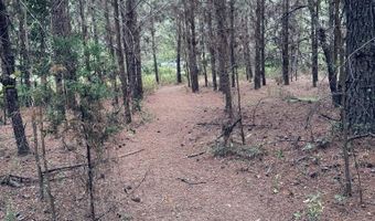 TBD Bumphead Road, Americus, GA 31719