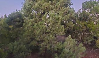 1 COUNTY ROAD N8155, Concho, AZ 85924
